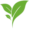 Plantifia